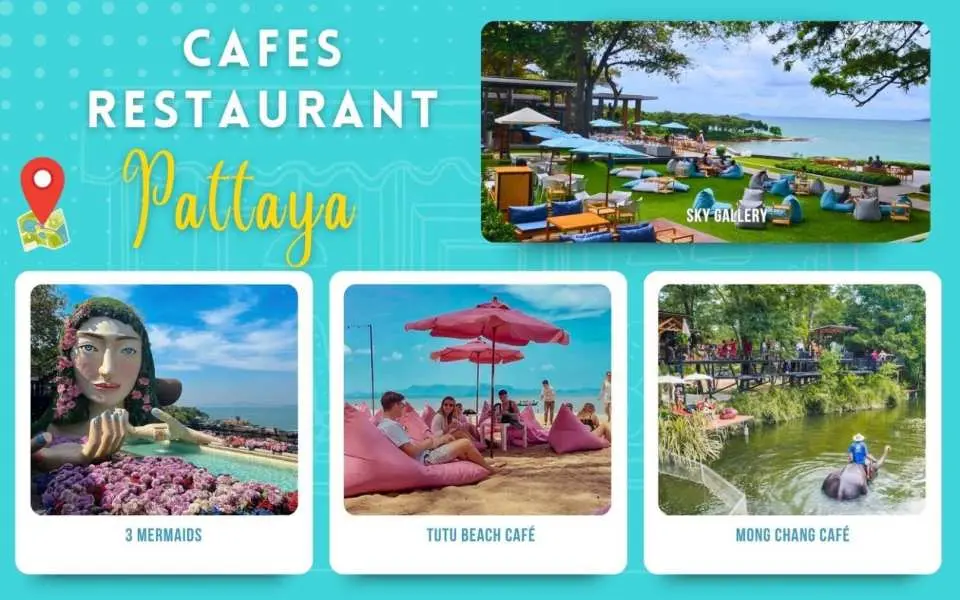 Recommended - Cafes