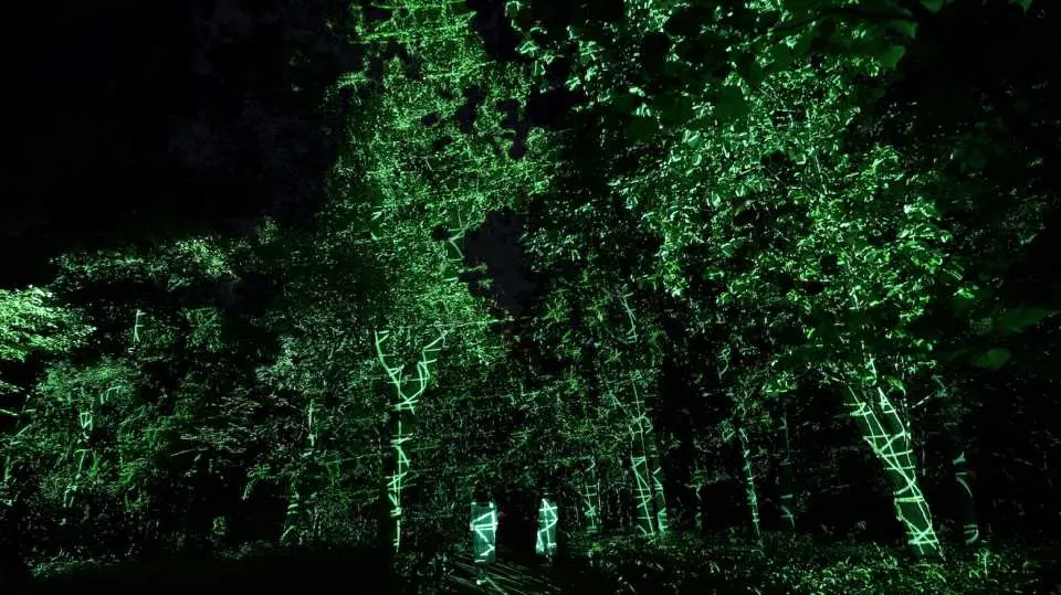 teamLab Botanical Garden Osaka weaves complex digital grids among tree canopies using green laser beams, creating an immersive forest experience for visitors.
