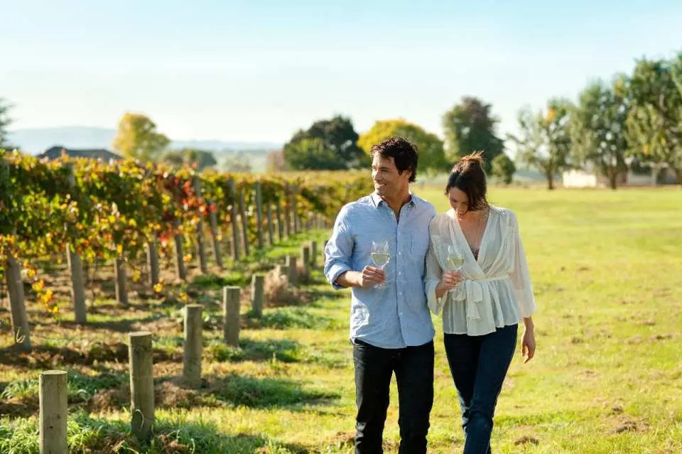 A couple enjoys a romantic wine tasting tour, strolling through the sunny vineyards of Australia's beautiful Yarra Valley near Melbourne, holding a glass of wine.