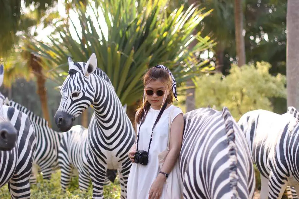 Keep your camera handy for Insta-worthy photos
