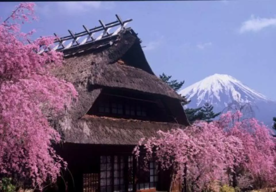 Healing Village Nemba