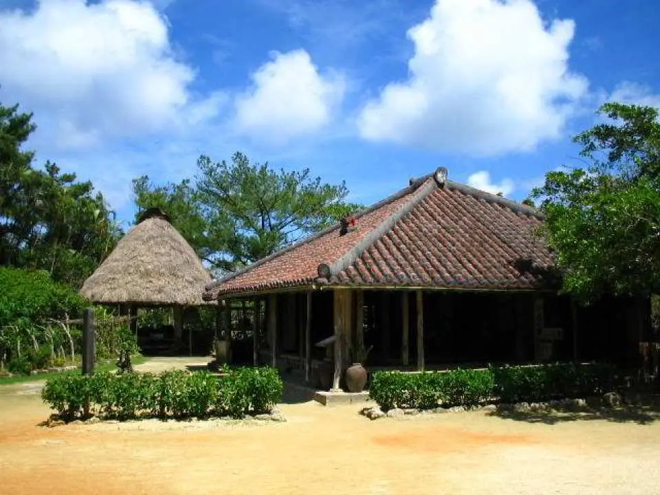 Okinawa Chartered 7-Seater/10-Seater Car One-Day Tour | Japan