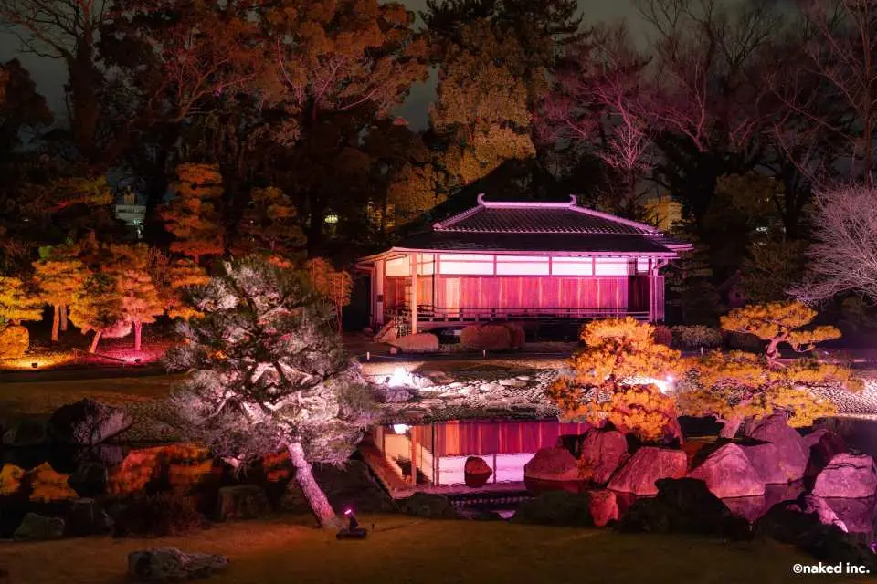 Kountei light up