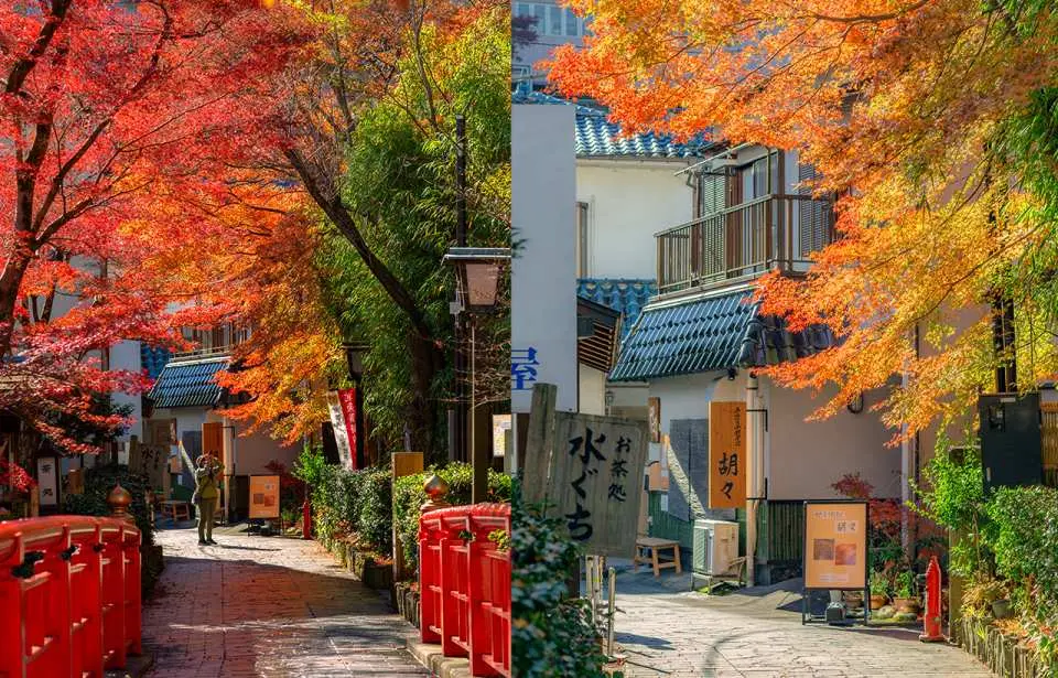 修善寺位于静冈县的伊豆半岛，是有着古老历史&文化底蕴的温泉胜地，一直以来都是热门的度假景点。而修善寺位于伊豆半岛北部，是个静谧的温泉小镇，也是伊豆区最悠久的温泉乡，自古以来就深受芥川龙之芥、夏目漱石等大文豪喜爱，还曾获选为米其林旅游指南二星景点。