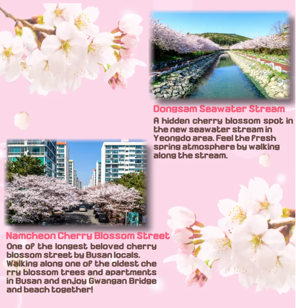 賞櫻地點