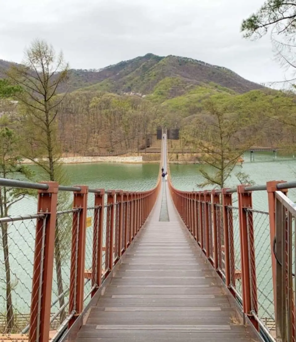 坡州赛马场湖吊桥
