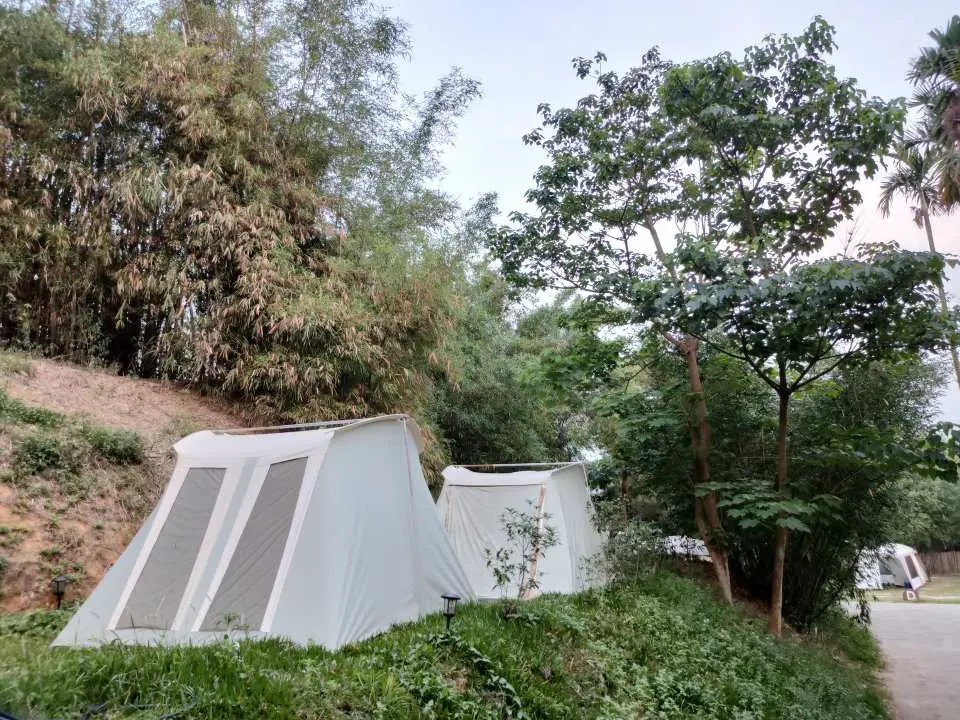 苗栗柚香露露免裝備露營區，兩頂白色帳篷錯落於綠意盎然的竹林山坡間，享受大自然環抱的寧靜。