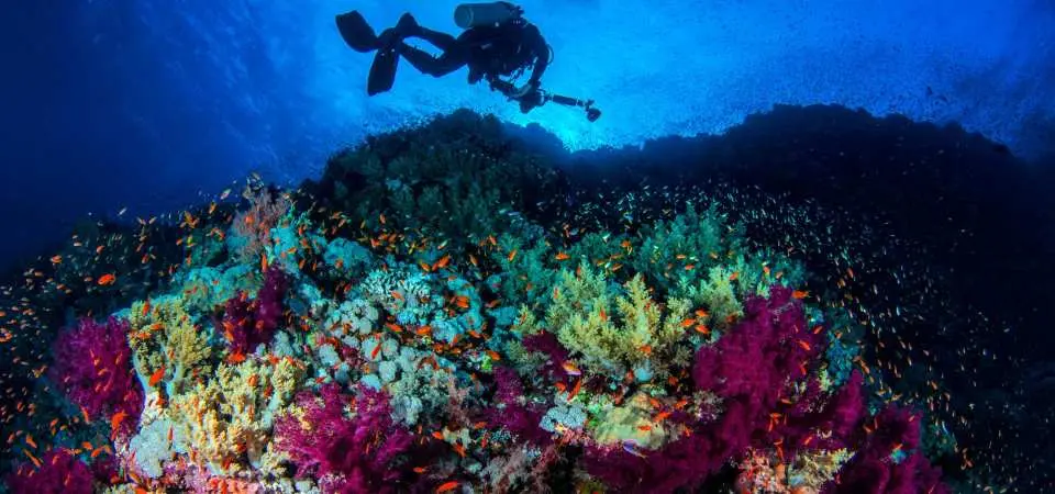 PADI Advanced Open Water Diver Course (2 Days) | Phuket