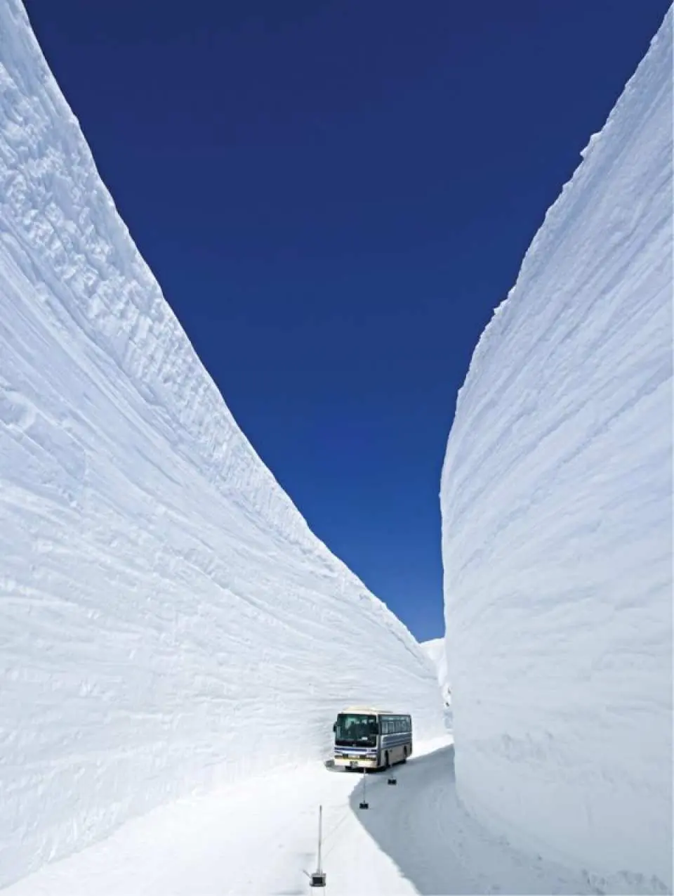 Tateyama Kurobe｜Snow Valley Walk in the Alps, Suwa Taisha Shrine, Hida Furukawa Old Town 2-Day Tour｜Departure from Tokyo