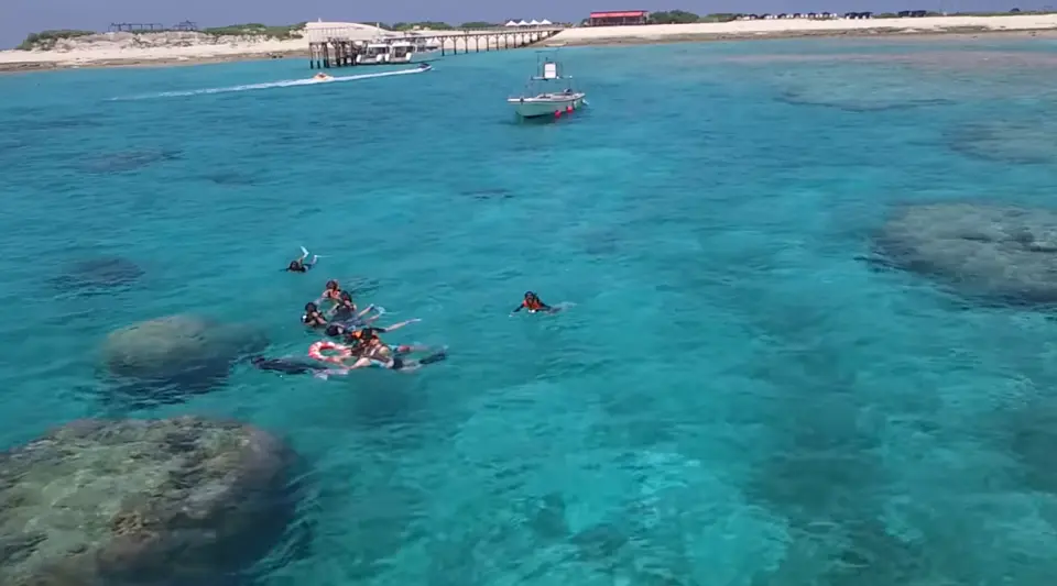 【シュノーケリング体験】インストラクターと一緒にボートでシュノーケリング♪（10:30開始→11:30終了 ※水中での時間は20～30分程度）。
予約がいっぱいの場合は、午後のシュノーケリングも可能です（12:30開始→13:30終了または13:30開始→14:30終了）1名のインストラクター（日本語のみ）につき最大10名様までご参加いただけます。各便の定員は約30名です。