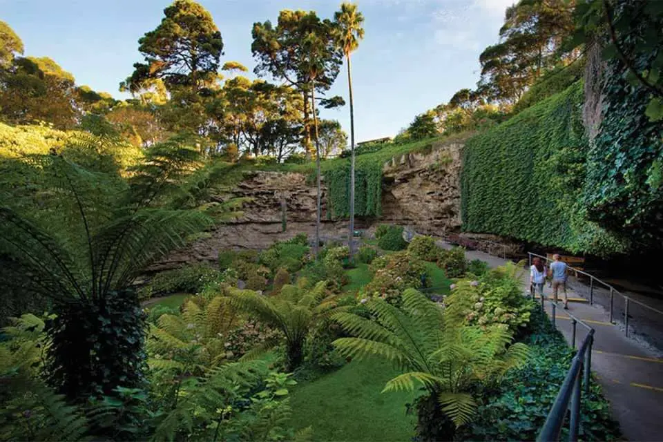 Lush, verdant landscape within Australia's Umpherston Sinkhole Garden, with dense ferns and tall trees surrounding unique rock walls, as two travelers explore a winding pathway.