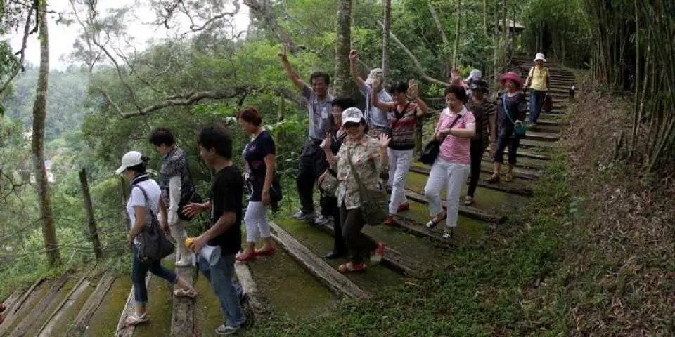 竹的一生 – 筍園認識及體驗挖竹筍（約 60 分鐘）