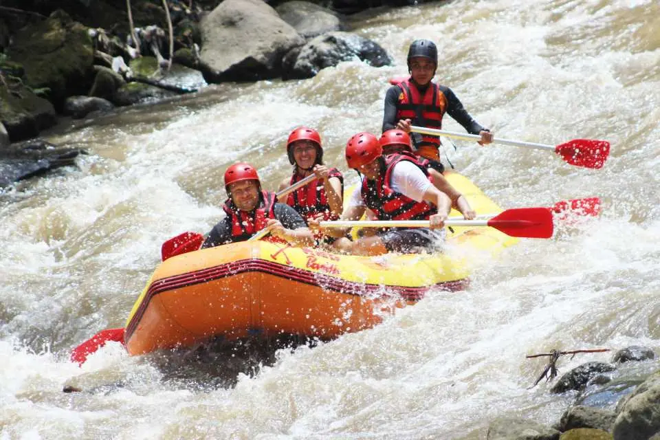 Navigate white water rapids surrounded by lush tropical scenery in this Ayung River rafting adventure, suitable for all skill levels