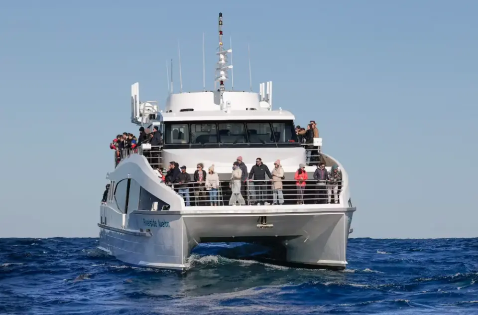 乘坐这艘专为观光而建的船只，您可以在两层宽敞的甲板上欣赏一览无余的美景。