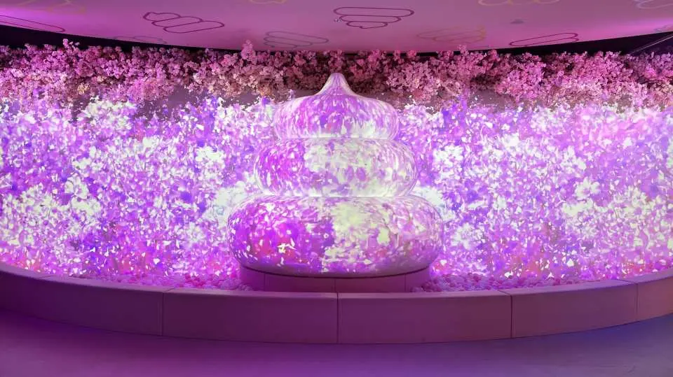 [Full Bloom!! Poop Cherry Blossoms 2026]