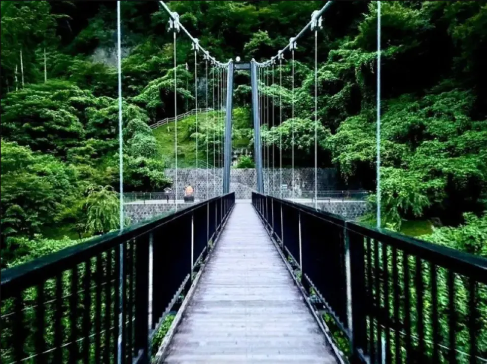 鬼怒楯岩大吊橋（約50分）