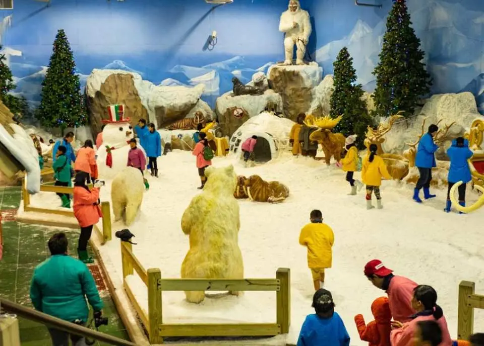 Embark on a magical journey at Dream World, or cool off in Snow Town’s wintry paradise