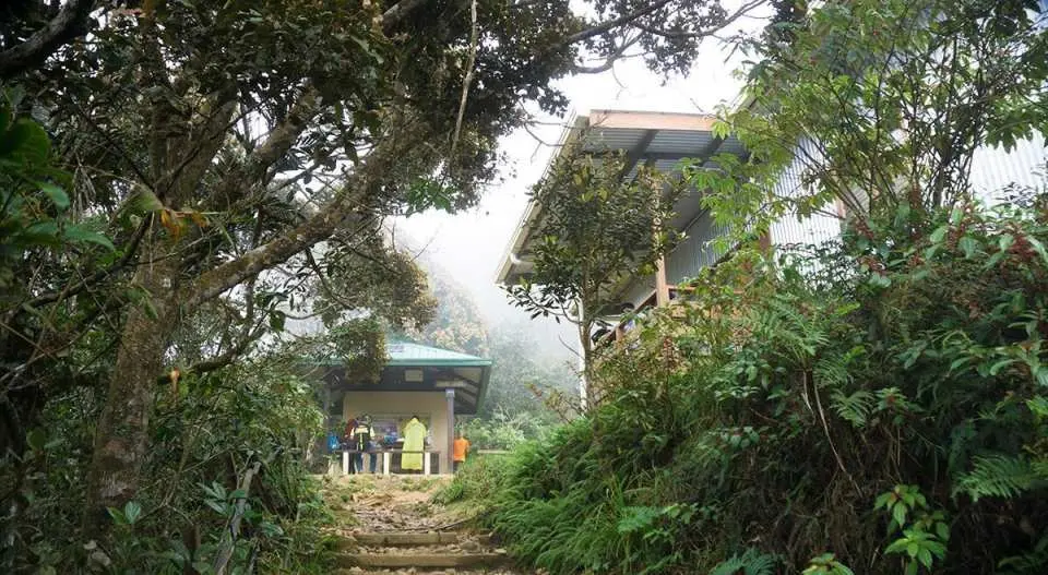 京那巴魯山霧氣瀰漫的森林步道通往登山設施，為沙巴茂密的熱帶雨林中的徒步者提供庇護。