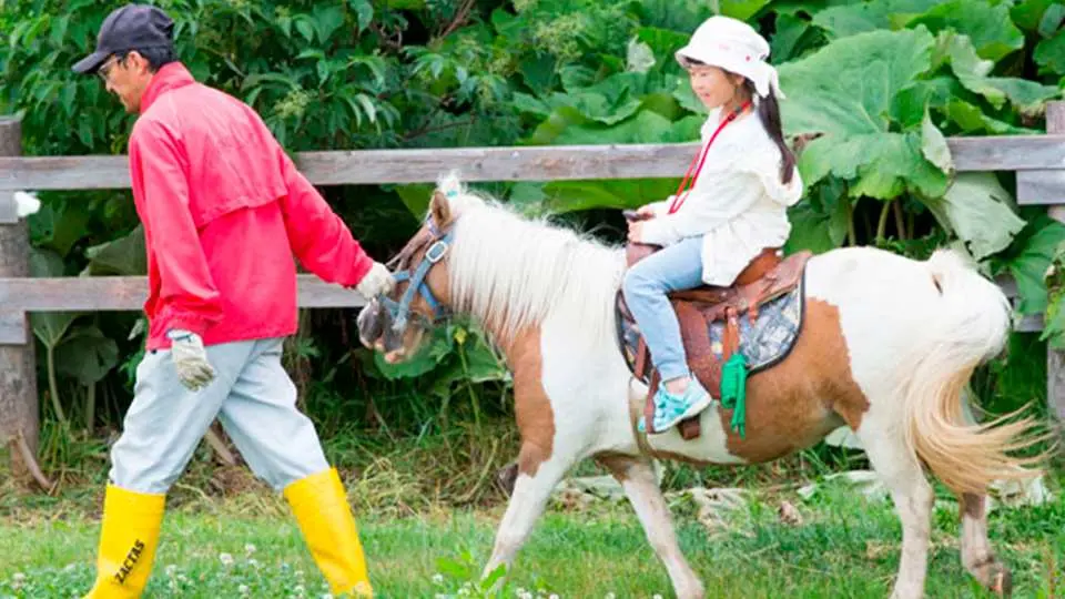 子どもたちに『食べ物・仕事・いのちの大切さ』を学んでもらうため、教育現場と連携して、様々な体験学習をおこなっています。 動物たちとのふれあいを通じて、たくさんのことを学び、発見してください。