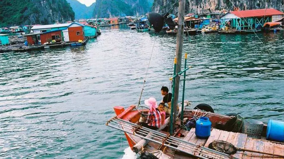 登上快艇参观越南海村。骑自行车或电动车穿过雨林隧道探索村庄，欣赏令人惊叹的稻田景色。沉浸在当地的生活方式中，并在村庄享用午餐。返回快艇，继续探索兰哈湾
