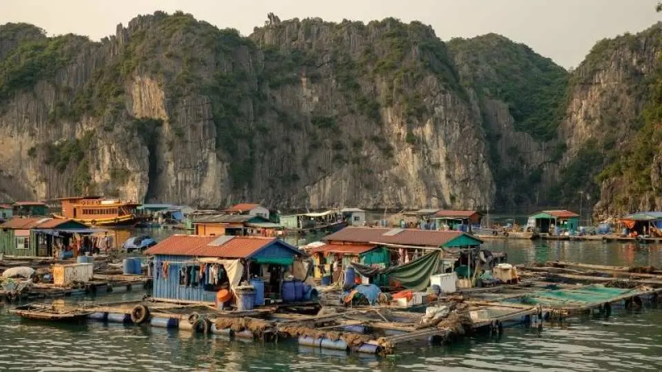 前往 Ben Beo 水上村庄，快艇将带您探索北部湾最大的水上村庄兰哈湾