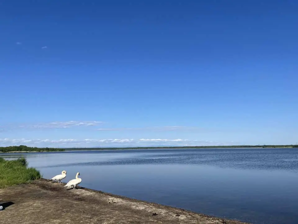 宇土湖（约30分钟）