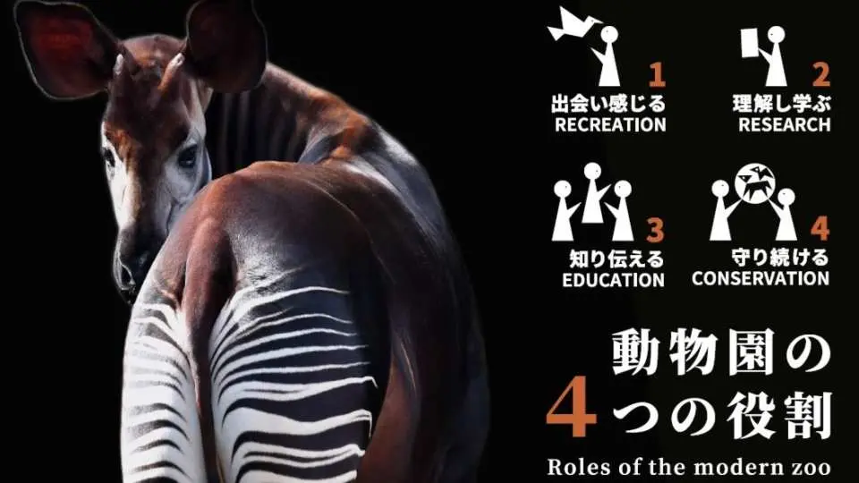 よこはま動物園ズーラシアの現代動物園の4つの役割（レクリエーション、研究、教育、保全）を示すイメージ。オカピのイラストと共に、野生動物と訪問者への使命を伝えています。