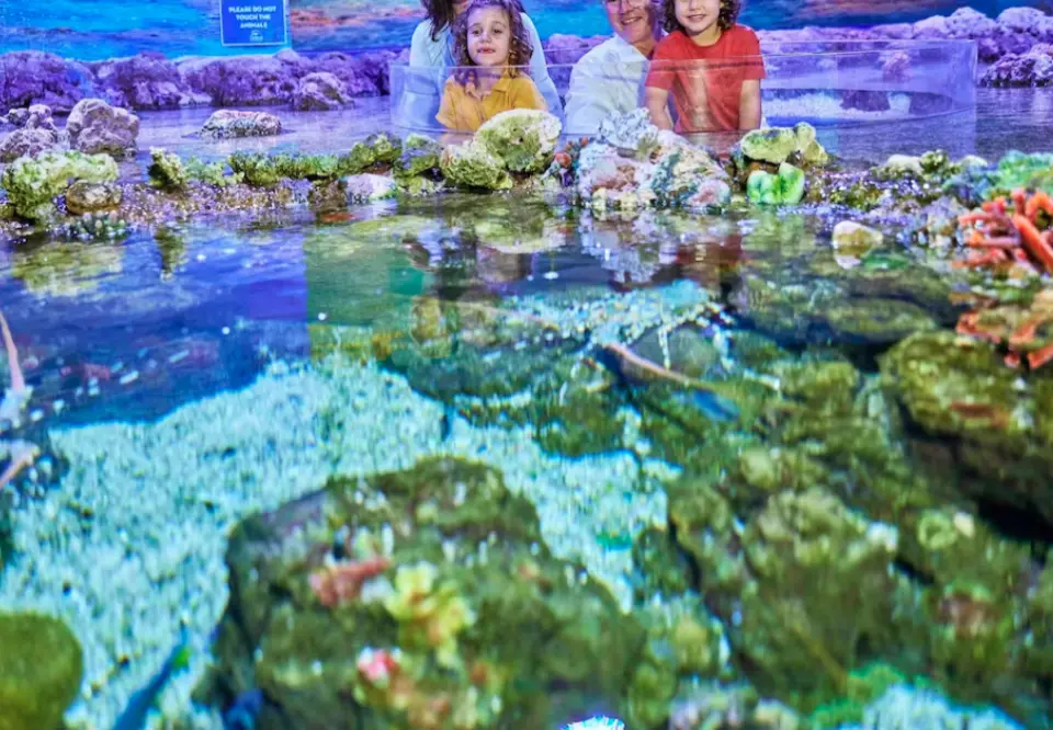 ดำดิ่งสู่โลกอันน่าตื่นตะลึงของปลาในแนวปะการัง ปลาแม่น้ำ และปะการังกว่า 16,000 ตัวที่จะทำให้คุณตื่นตะลึง