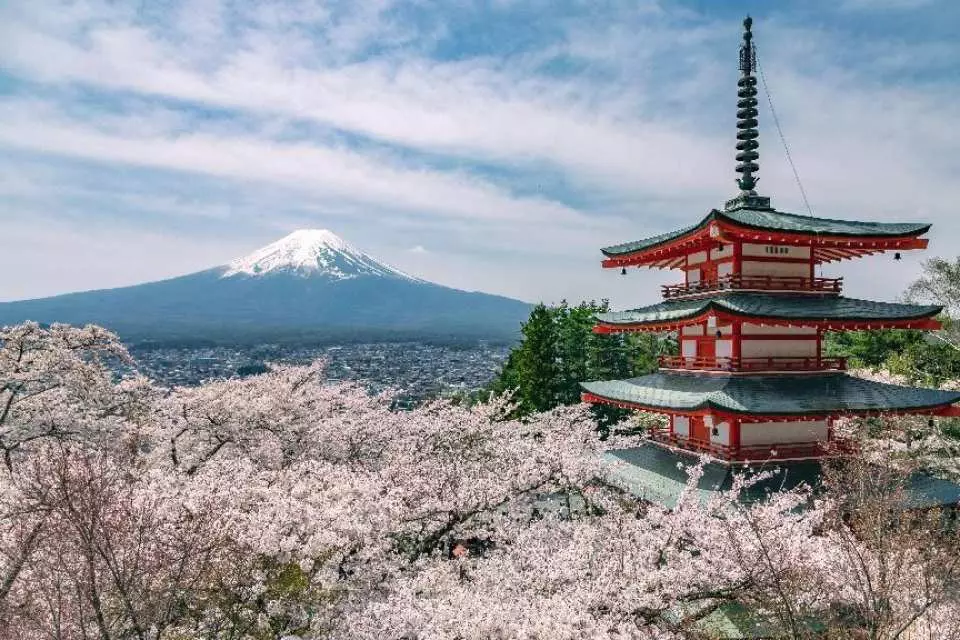 Chureito Pagoda at Arakurayama Sengen Park, surrounded by full bloom cherry blossoms with Japan's sacred Mount Fuji in the background, creating a classic spring scene.