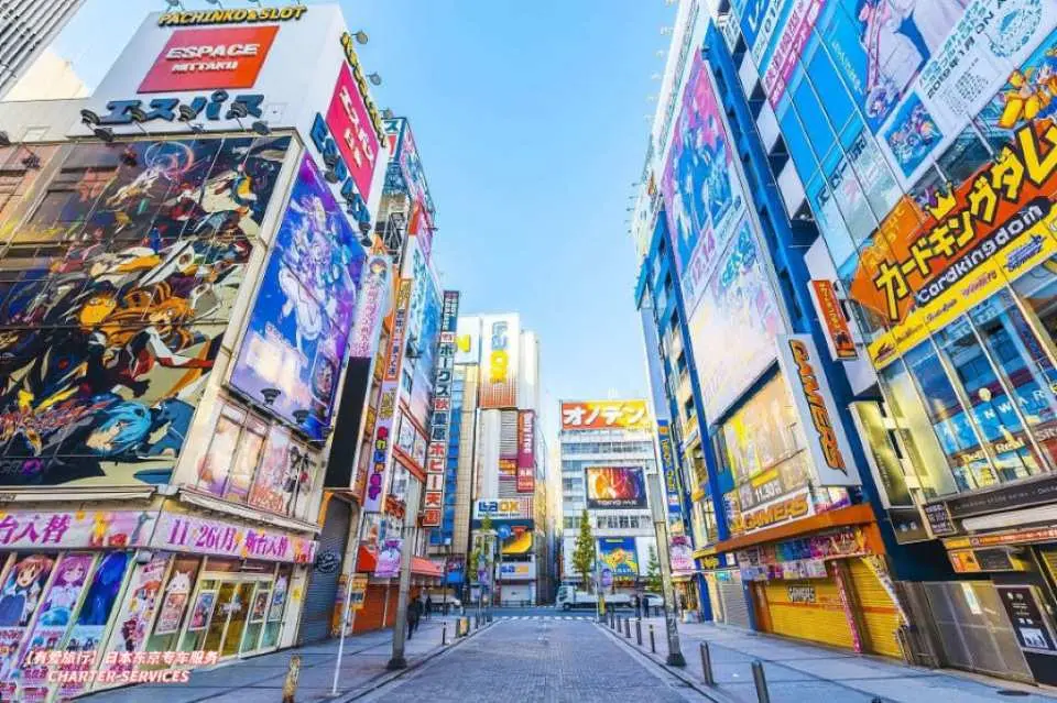 🌟 秋葉原（Akihabara）－科技與動畫的狂歡盛宴！追尋日本動漫文化的蹤跡，漫遊電器店、動漫書店和主題咖啡館，感受激情四溢的流行文化，滿足你的夢幻心願！