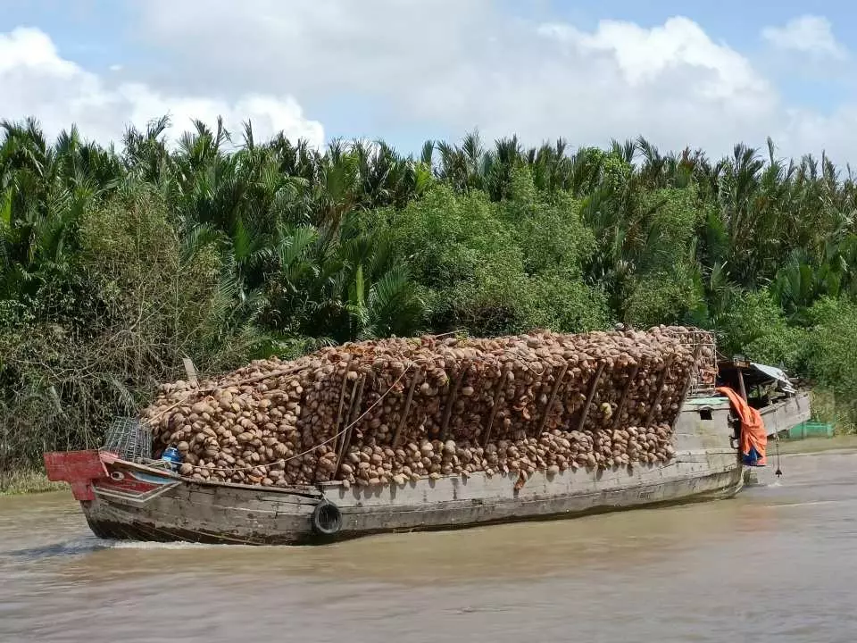 この一節では、著者が村を訪れ、地元の人々が伝統的な技術を使ってココナッツの繊維から工芸品やその他の製品を作る様子を観察する様子が描かれています。