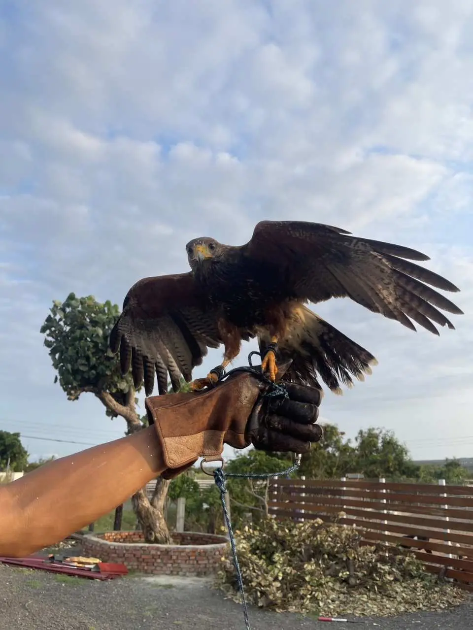 墾丁灰太狼生態教育園區門票- KKday
