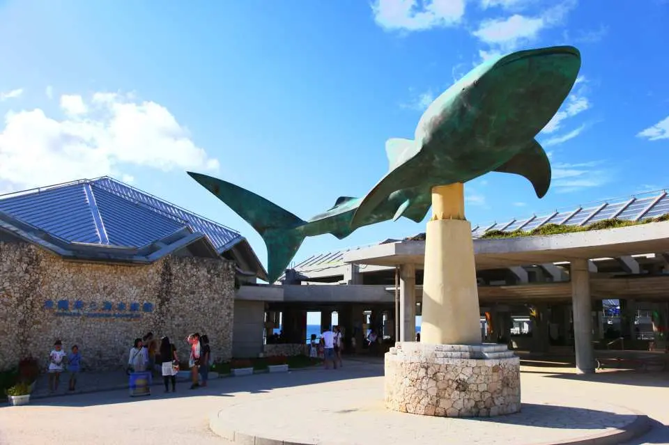 Private Car / Carpooling Package | Summer Trip to Ocean Expo Park & Churaumi Aquarium  | Depart from Naha & Chatan | Japan
