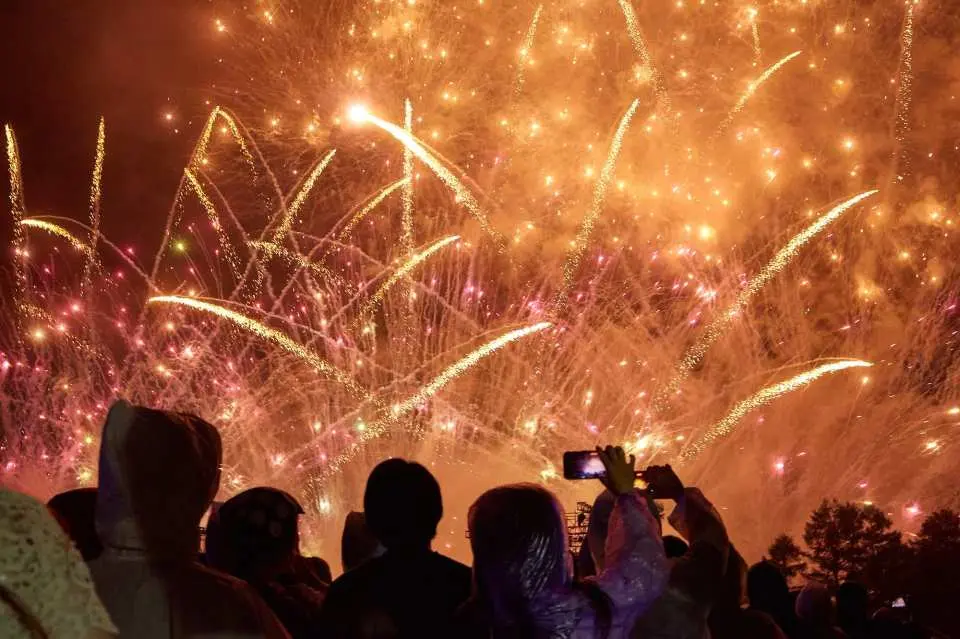 ディズニーの名曲にのせて贈る、音楽と花火のエンターテイメントショー