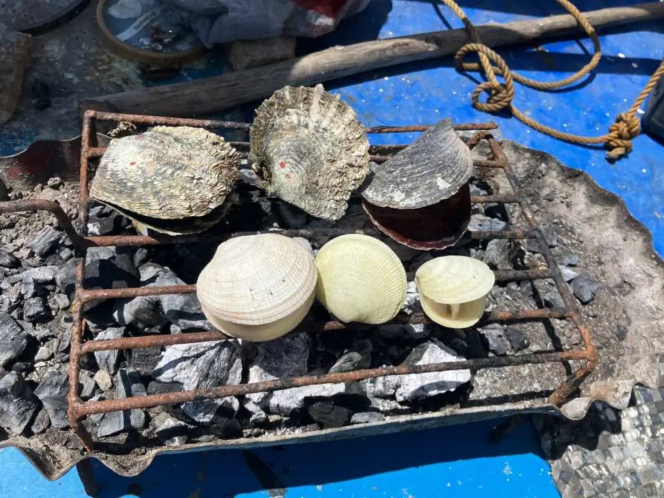 セブ島ツアー中の美味しいフィリピン式バーベキューランチの一部として、アサリやその他の貝類を含む様々な新鮮なシーフードが炭火でジュージューと焼かれています。