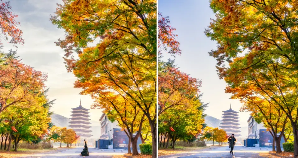 See one of Gyeongju's representative Shilla Dynasty buildings, the Hwang Ryong Won
