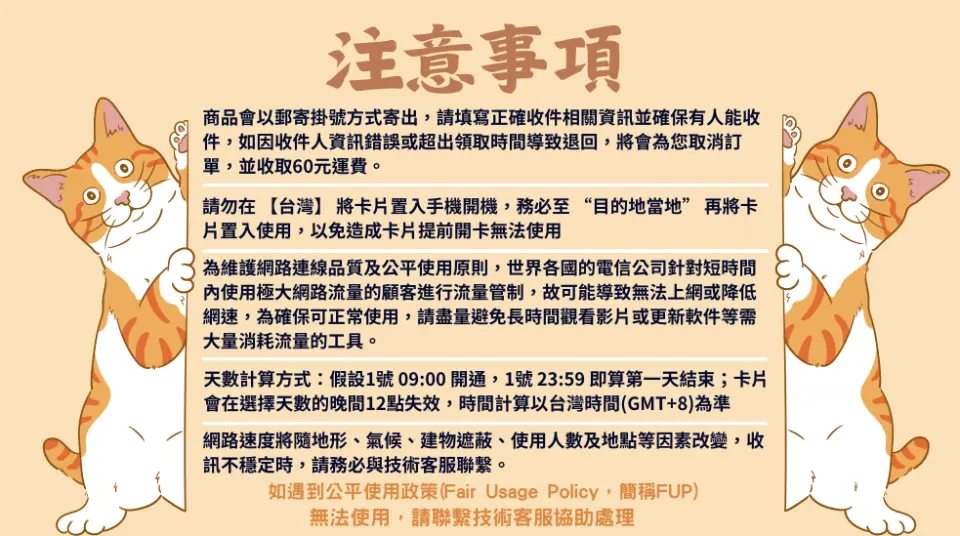 菲律賓Globe網卡使用注意事項圖，包含台灣寄送、開卡地點、流量計算與公平使用原則，並有可愛貓咪插圖。