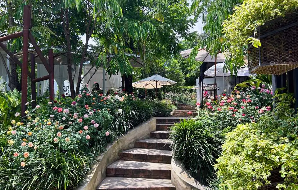 Scenic garden pathway in Chiang Mai Mon Cham, lined with vibrant roses and lush plants, featuring winding stone steps leading to shaded seating areas, ideal for a leisurely stroll.