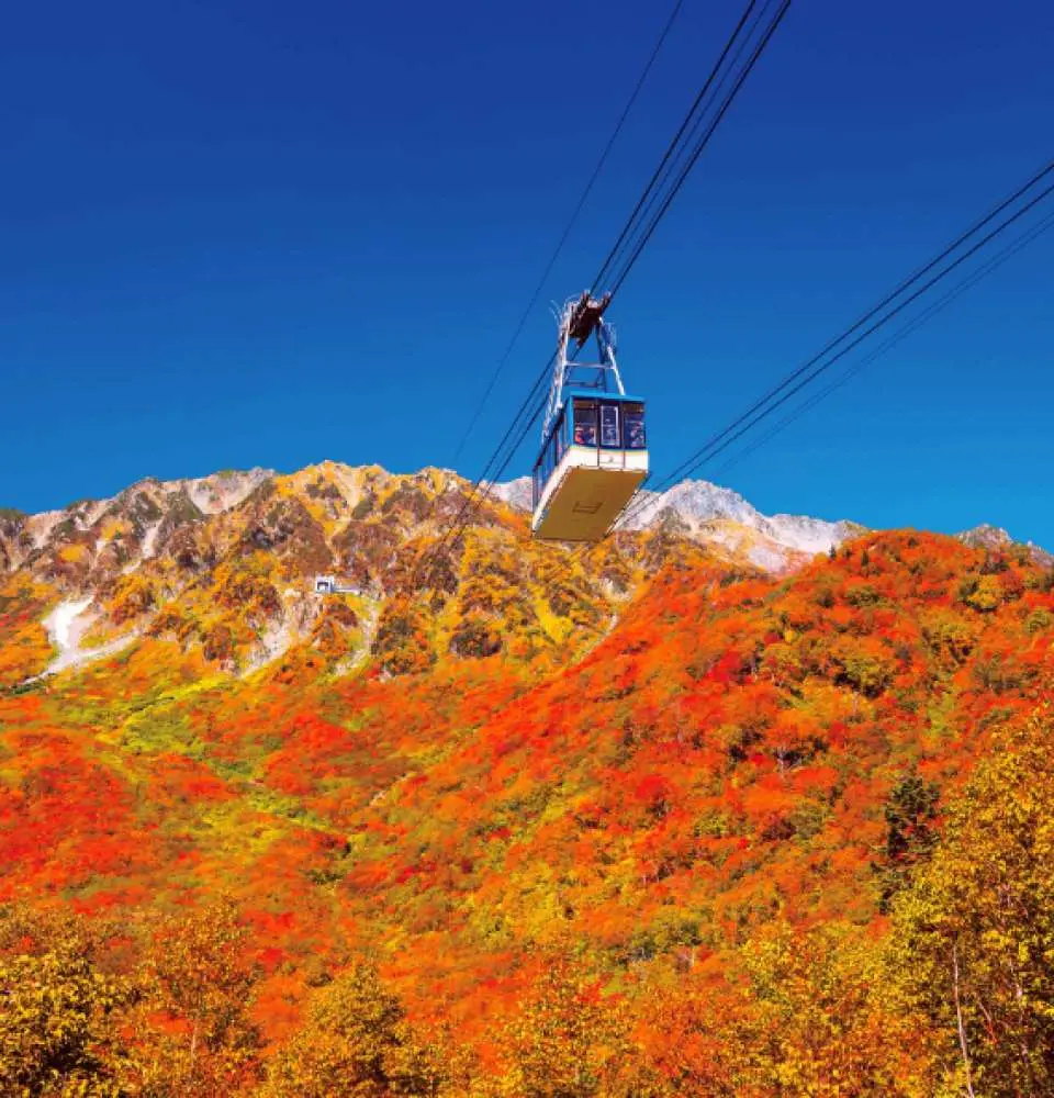 Travel through the Northern Alps using a variety of unique mountain transportation options, where the autumn foliage and snow-capped peaks create a magnificent spectacle.