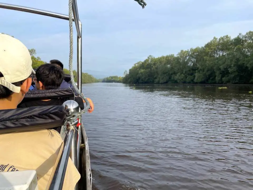 Du khách trên chuyến du thuyền sông Kawa Kawa từ từ di chuyển qua hệ sinh thái rừng ngập mặn ở Sabah, Malaysia, khám phá môi trường tự nhiên hoang sơ và tận hưởng cảnh quan ven sông.