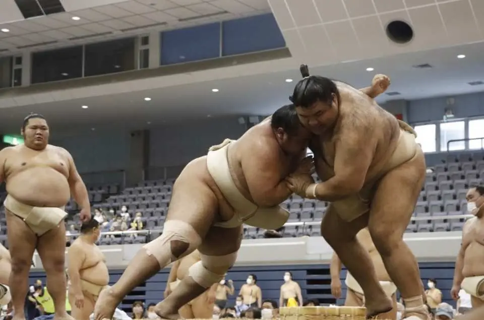 Witness the powerful sumo matches, practice or ranked, with your own eyes