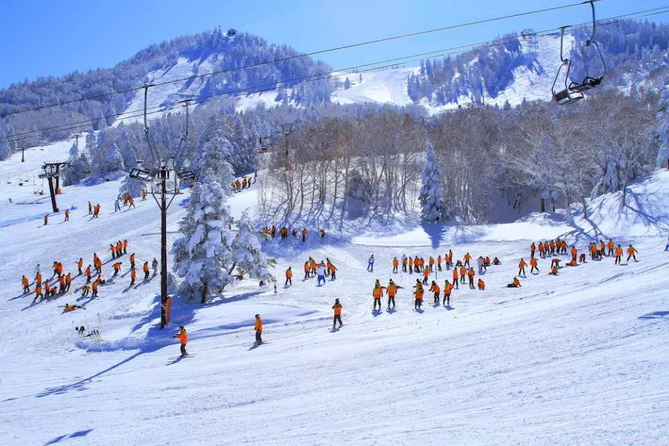 這是一個從初學者到高級滑雪者都可以享受的滑雪場。