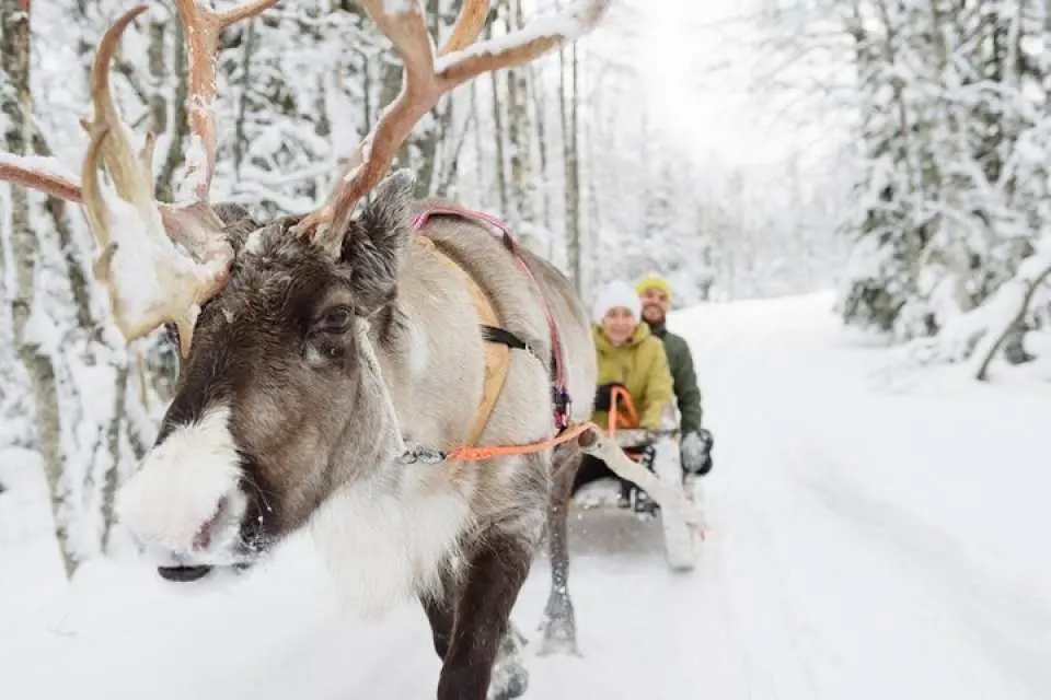 Internet Celebrity Santa Claus Village & Arctic Circle: Meet Santa Claus, Arctic Reindeer Sleigh & Husky Tour | Finland