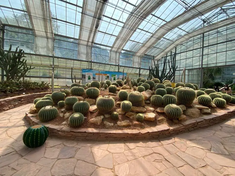 มาค้นพบความมหัศจรรย์ของสวนพฤกษศาสตร์สมเด็จพระนางเจ้าสิริกิติ์กันเถอะ