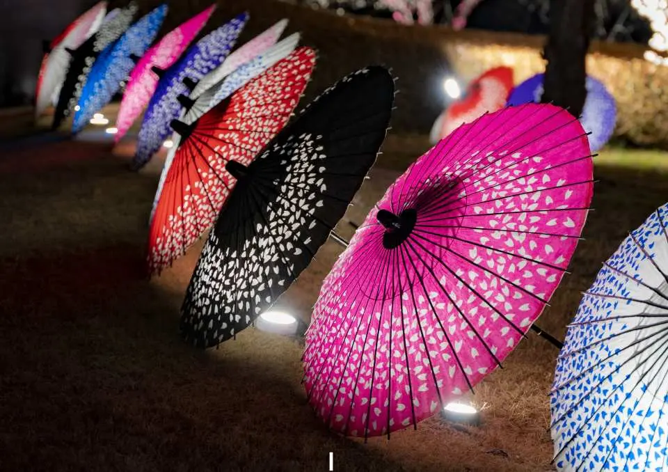 [Japanese umbrella light-up and souvenir purchase/kitchen car]