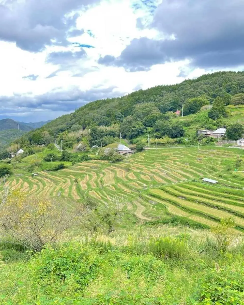 set. Agricultural experiences such as rice planting and harvesting in terraced rice fields that have been going on for 1000 years