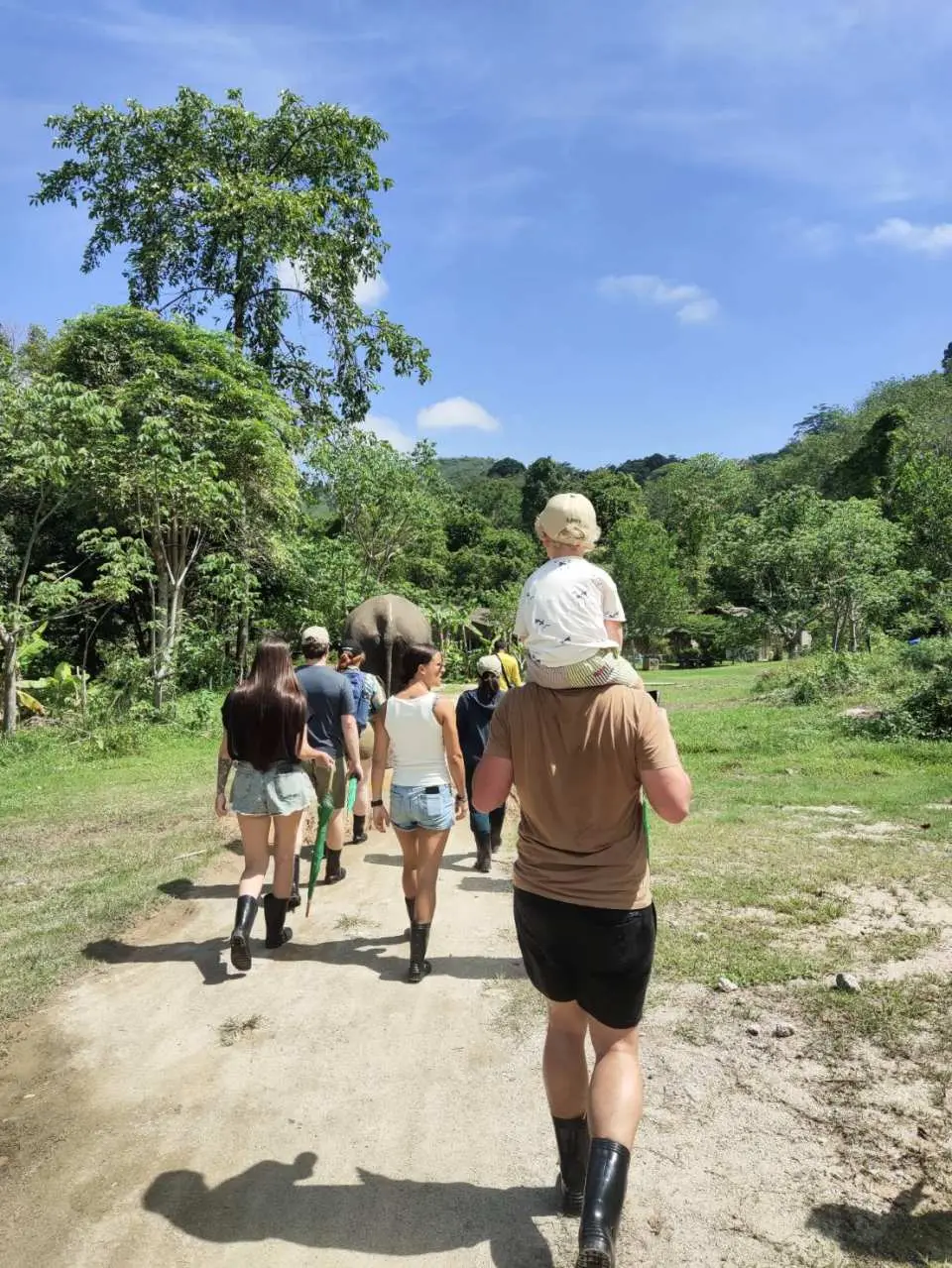 Embark on a mesmerizing journey through the Phuket jungle, strolling alongside majestic elephants