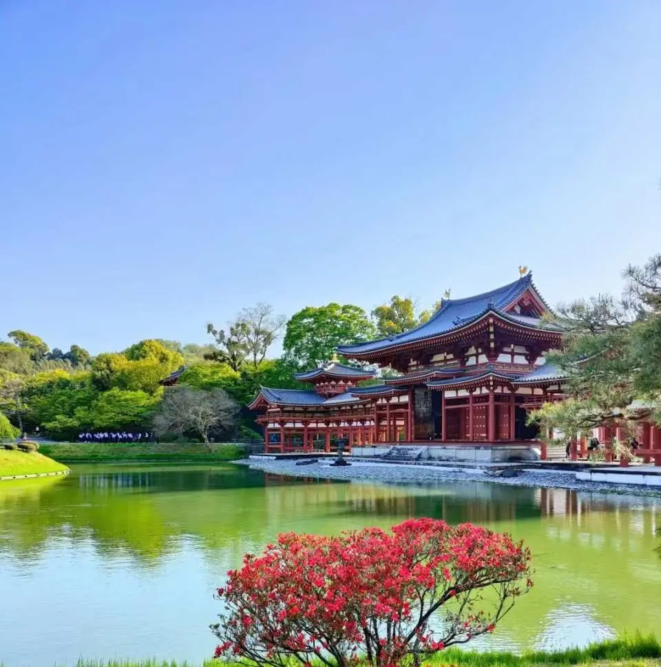 9：00從大阪出發行車40分鐘到達平等院，世界文化遺產平等院，院裡面積比較大，先是鋪滿石子路的日式庭院，有很多種在缸裡的蓮花
再往裡走是非常壯觀的阿字池塘，池塘邊就是非常著名的鳳凰堂～可以掏出10元硬幣和一萬日元紙幣打卡，分別印著鳳凰堂和鳳凰堂上面的鳳凰～（推薦遊玩1小時20分）