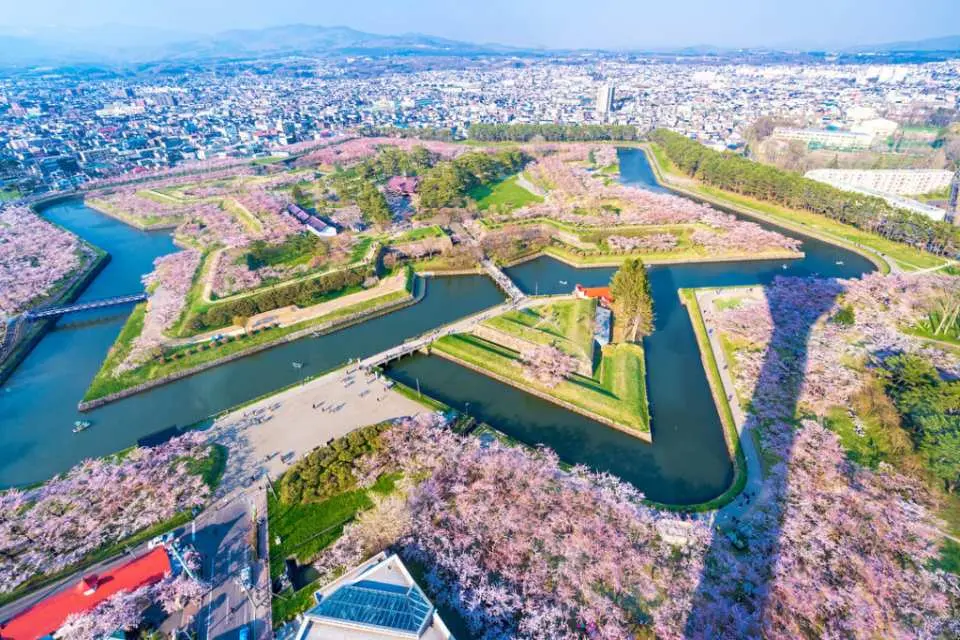 고료카쿠 공원
공원 내에는 왕벚나무를 포함해 약 1,600그루의 벚나무가 있습니다. 꽃이 피면 고료카쿠 공원은 갑자기 핑크빛 별로 변합니다. 공원 옆 고료카쿠 타워에서 내려다보면 공원 전체가 선명하게 보입니다.