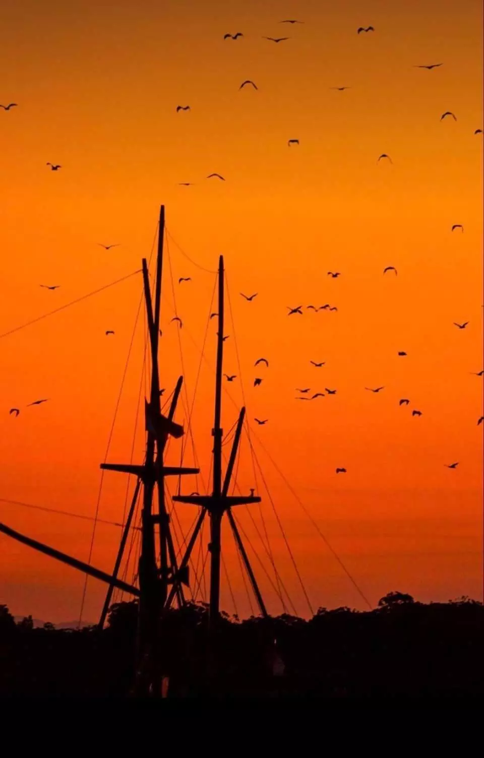 【卡隆島 Kalong Island】